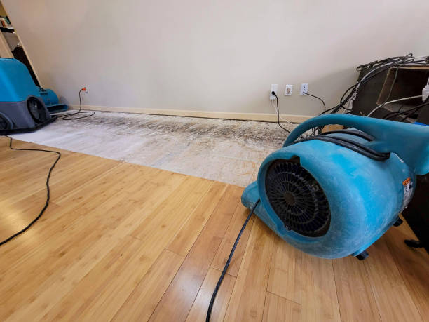 Professional Water Damage Repair technician working in Washougal, WA